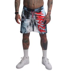 Pánské plavkové šortky Insanity Board Shorts